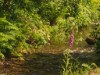 Bild 34 - Aussen
