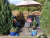 Bild 12