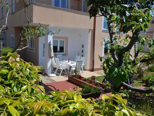 Holiday Home/Apartment - 4 persons -  - Debeli Vrv - 52100 - Vinkuran