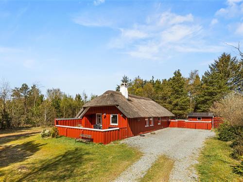 Sommerhus - 6 personer -  - Søndervang - Houstrup - 6830 - Nr. Nebel