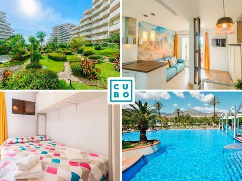 Holiday apartment - 2 persons -  - 29630 - Benalmádena