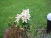 Bild 21