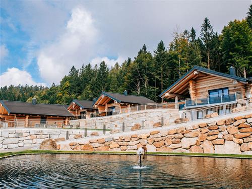 Sommerhus - 3 personer -  - Am Dreiländereck - 4164 - Schwarzenberg Am Böhmerwa