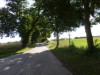 Billede 19