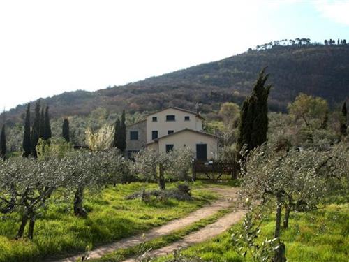 Sommerhus - 10 personer -  - Localita Il Castagno - 52044 - Cortona