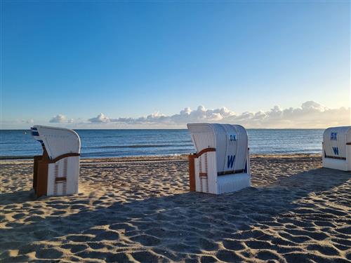 Ferielejlighed - 5 personer -  - Steinwarder - 23774 - Heiligenhafen