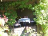 Image 14