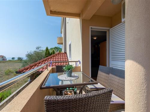 Holiday apartment - 4 persons -  - Put Bilotinjka - 23233 - Privlaka