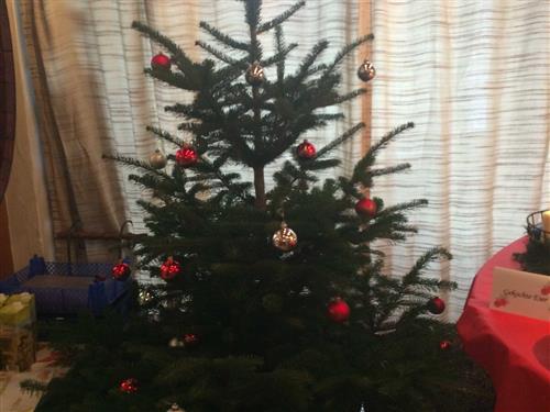 Bondegård - 7 personer -  - Hauptstraße - 77966 - Kappel-Grafenhausen