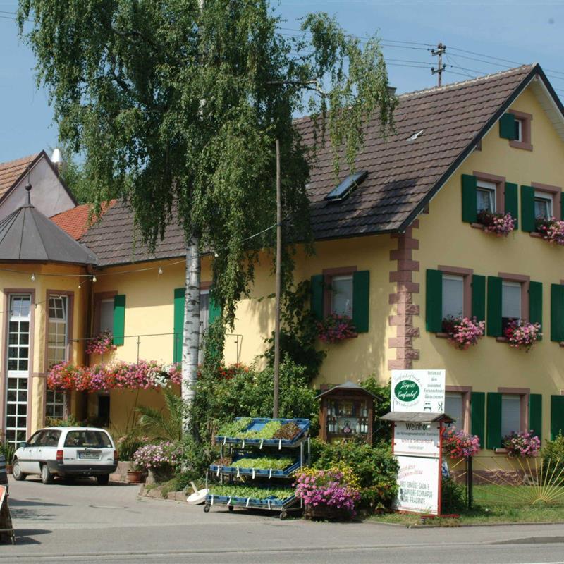 Bondegård - 7 personer -  - Hauptstraße - 77966 - Kappel-Grafenhausen