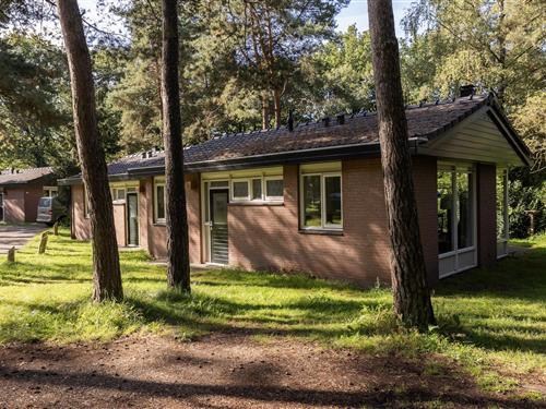 Bungalow - 4 persons -  - 3881SE - Putten