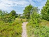 Bild 36