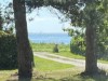 Bilde 5
