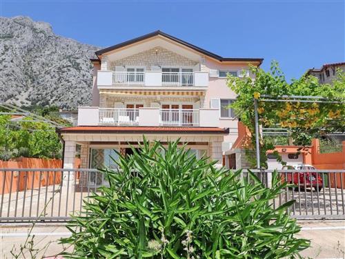 Ferieleilighet - 6 personer -  - Orebic - 20250