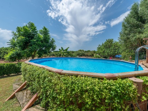 Telt - 6 personer -  - 07500 - Manacor, Illes Balears