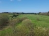 Billede 10