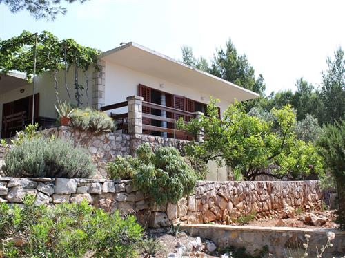 Ferieleilighet - 3 personer -  - Zavala - 21465 - Jelsa