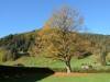 Bild 19 - Ude