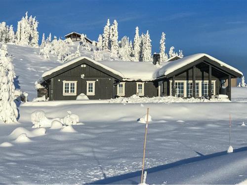 Sommerhus - 10 personer -  - Søre Hovdan - Haglebu - 3359 - Eggedal