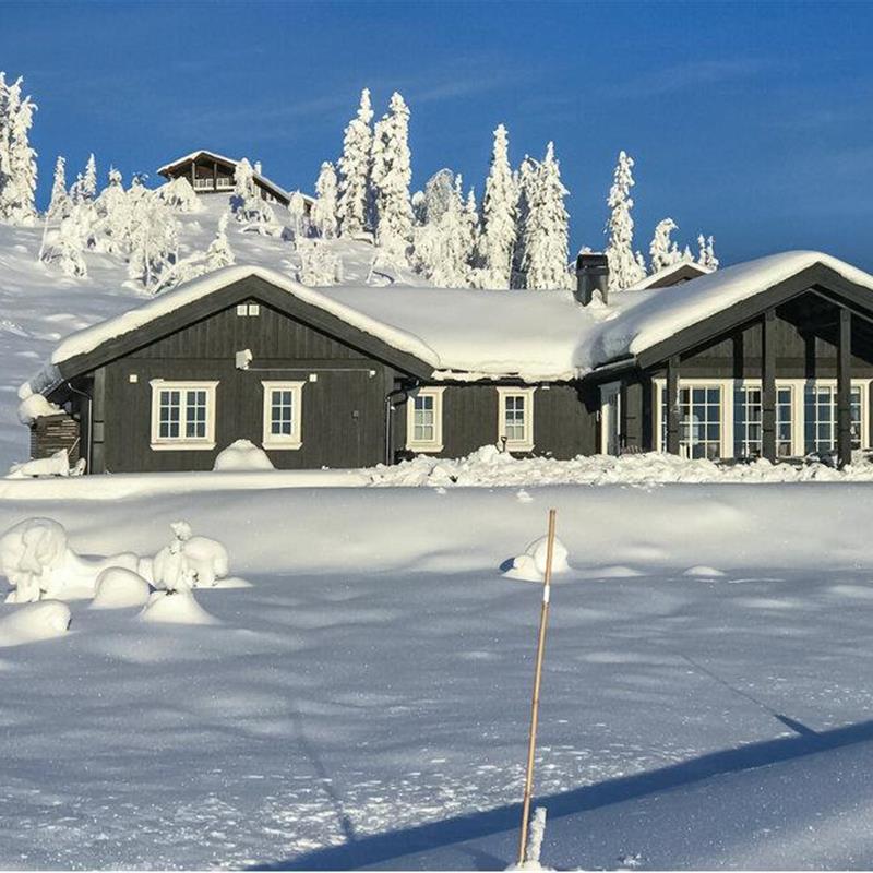 Sommerhus - 10 personer -  - Søre Hovdan - Haglebu - 3359 - Eggedal