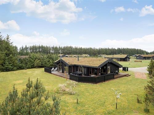 Sommerhus - 6 personer -  - Trehøje - 9493 - Saltum