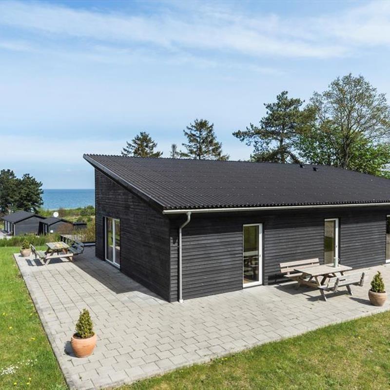 Ferienhaus - 11 Personen -  - Rypevej 11 B - Skovgaarde - 8961 - Allingaabro