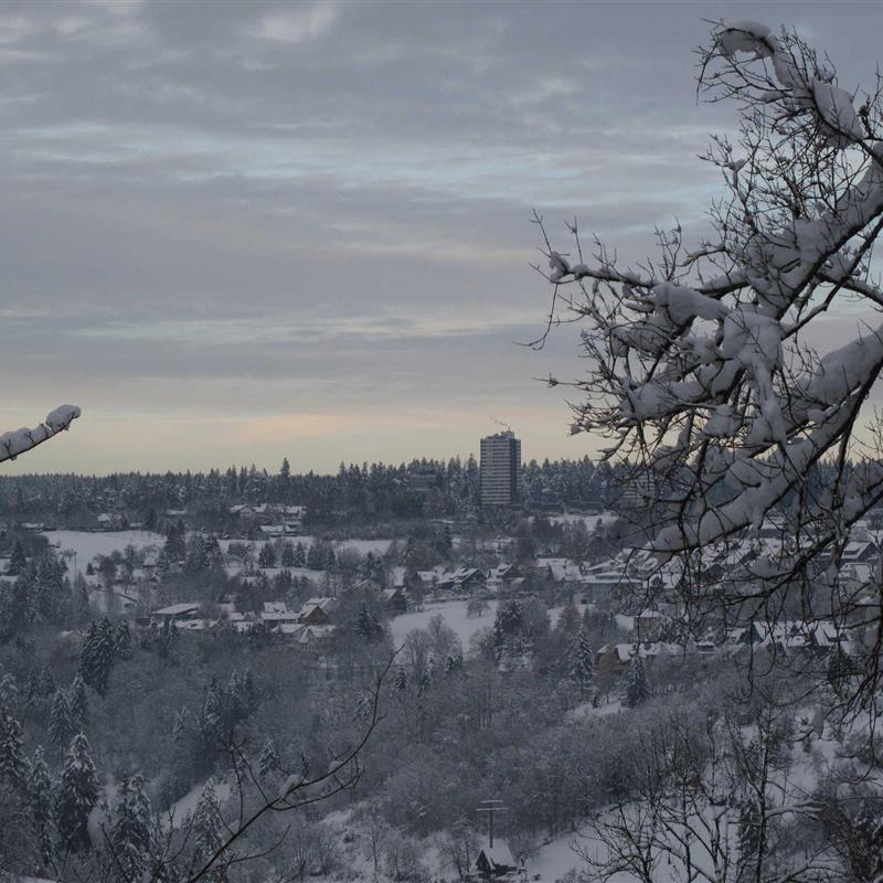 Ferielejlighed - 3 personer -  - Reichsstr. - 72250 - Freudenstadt