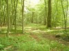 Bild 33
