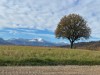Bild 36 - Aussen