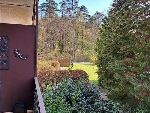 Ferieleilighet - 2 personer -  - Lindenstraße - 66996 - Ludwigswinkel