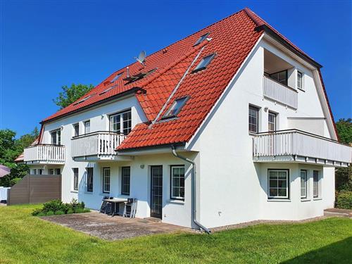 Ferienhaus - 4 Personen -  - Waldstr. - 18375 - Prerow