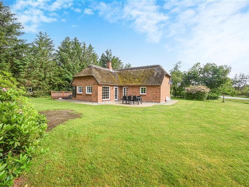 Ferienhaus - 6 Personen -  - Skindbjergvej - Nr. Fjand - 6990 - Ulfborg