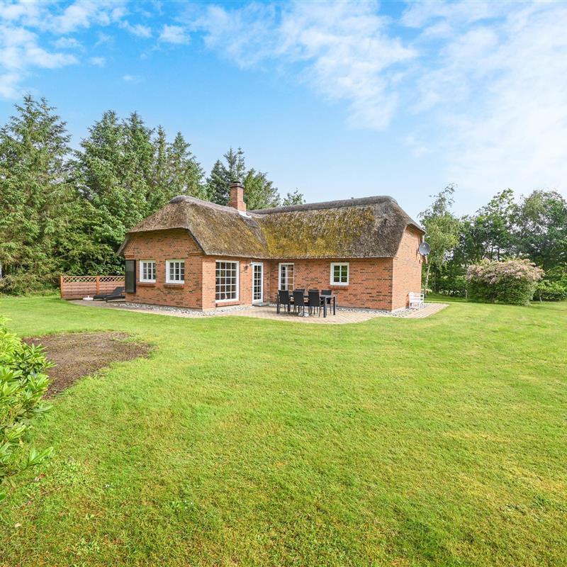 Ferienhaus - 6 Personen -  - Skindbjergvej - Nr. Fjand - 6990 - Ulfborg