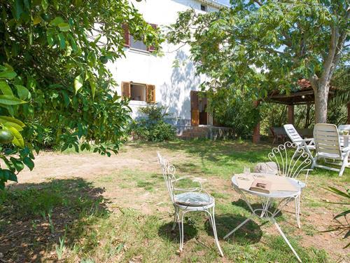 Feriehus / leilighet - 4 personer -  - Contrada Santa Lucia - 87020 - Cetraro