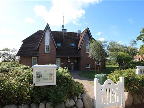 Ferieleilighet - 2 personer -  - Ginsterweg - 25938 - Wyk Auf Föhr