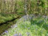Image 20
