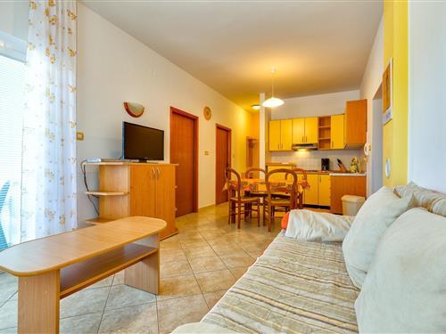 Sommerhus - 4 personer -  - Mali Lošinj - 51550 - Mali Lošinj