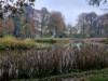 Bild 42
