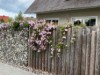 Bild 17