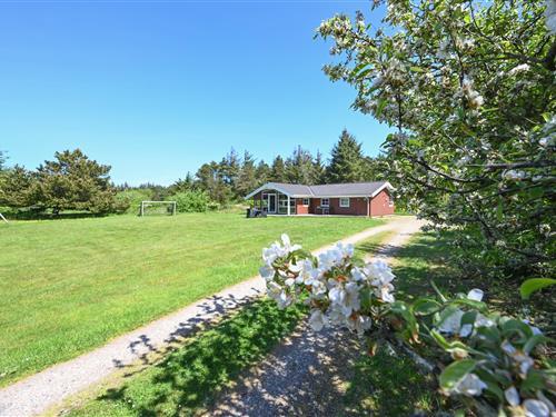 Ferienhaus - 6 Personen -  - Illeborgvej - Fjand - 6990 - Ulfborg