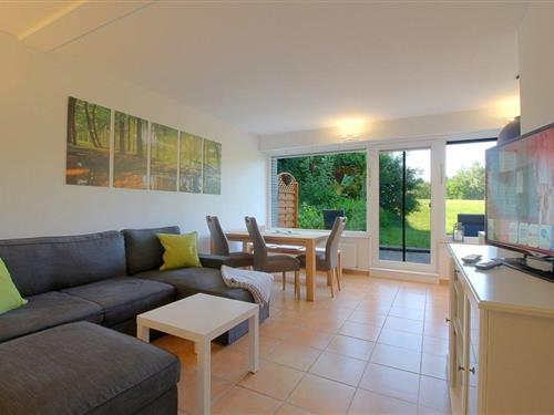 Ferieleilighet - 5 personer -  - Am Kurpark 3 - unterste Ebenen Süden - 38700 - Hohegeiß