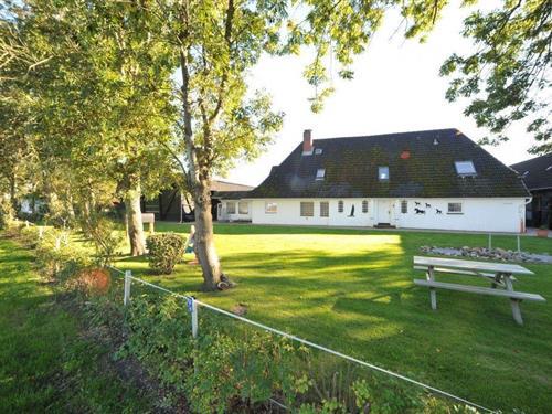 Holiday Home/Apartment - 3 persons -  - Böhler Weg - 25826 - St. Peter-Ording