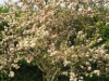 Image 24