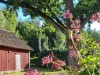 Bild 4 - Ude