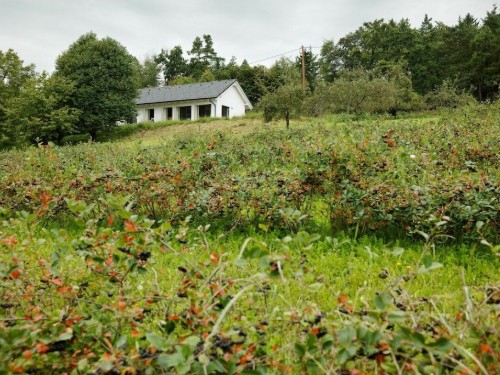 Fritidshus - 6 personer -  - 8321 - Zöbing An Der Raab