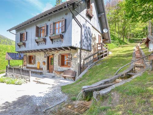 Sommerhus - 7 personer -  - Fraz. Maranzanis - Comeglians - 33023 - Comeglians (Ud)