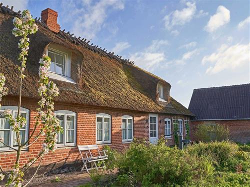 Ferienhaus - 9 Personen -  - Stausmark - 24395 - Niesgrau
