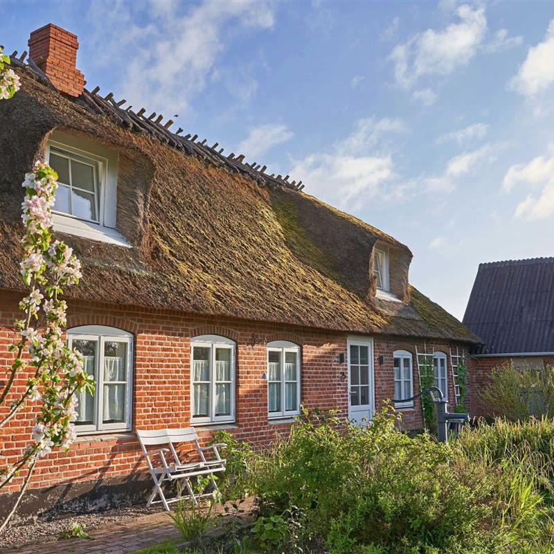 Sommerhus - 9 personer -  - Stausmark - 24395 - Niesgrau