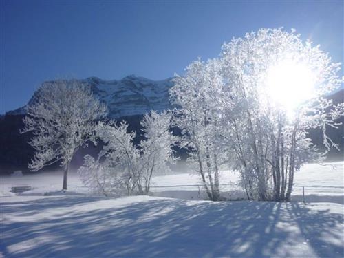 Ferieleilighet - 4 personer -  - Kirchdorf - 6874 - Bizau