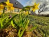 Bild 14